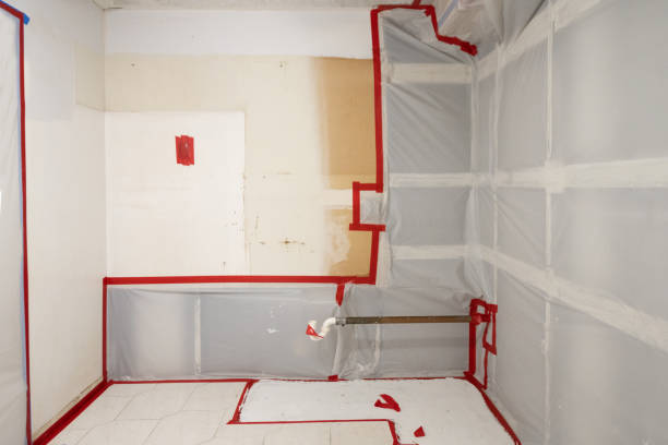 Professional Mold Removal in Fairfax, OK