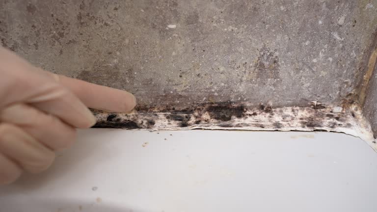 Best Mold-Related Health Consultation  in Fairfax, OK
