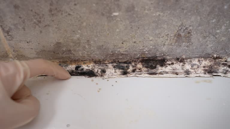 Best Asbestos and Lead Testing During Mold Inspection  in Fairfax, OK